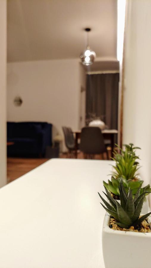 Apartament Chopin Gliwice Leilighet Eksteriør bilde